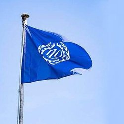 سناریوهای سازمان بین‌المللی کار برای استفاده از هوش‌ مصنوعی درخاورمیانه