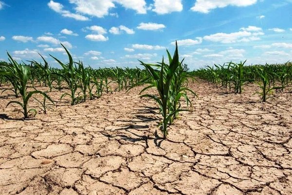 فشار دوگانه تحریم و آب؛ امنیت غذایی و رفاه ایرانیان در سراشیبی