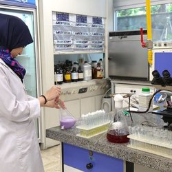 «سازمان استاندارد» مرجع تعیین صلاحیت آزمایشگاه‌های سنجش ایمنی شد