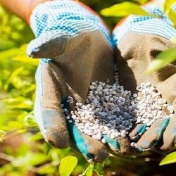 اختلال در زنجیره تامین جهانی کشاورزی با بسته شدن هرمز