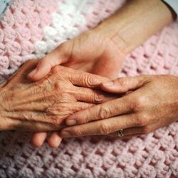استثمار در محیط بسته خانه