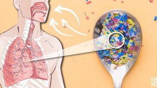 میکروپلاستیک‌ها در هوای خانه و خودرو؛ تهدیدی پنهان برای سلامت انسان