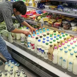 لبنیات لوکس شد؛ امنیت غذایی کارگران در خطر سقوط