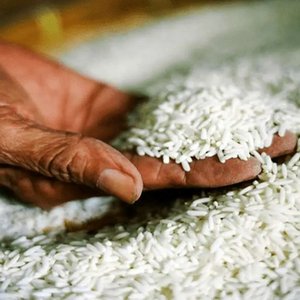 در قزوین مصرف‌کنندگان برنج به نیم‌دانه روی آوردند