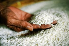 کاهش ۴۰ هزار تومانی قیمت برنج هندی در بازار تهران