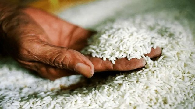 در قزوین مصرف‌کنندگان برنج به نیم‌دانه روی آوردند