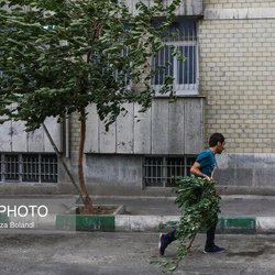 سرعت وزش باد در تهران به ۹۰ کیلومتر بر ساعت رسید