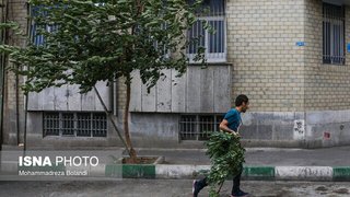 سرعت وزش باد در تهران به ۹۰ کیلومتر بر ساعت رسید