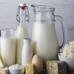 مصرف لبنیات در کشور نصف مقدار توصیه‌ شده است