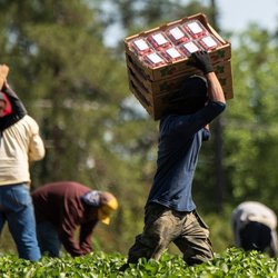 برده‌داری مدرن در اروپا؛ راه‌حل قدیمی برای مشکلات جدید مراکز سرمایه