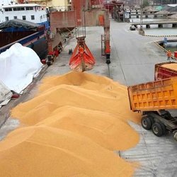 بازار گوشت و لبنیات در انتظار جهش