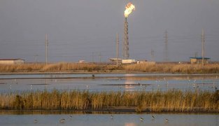 هورالعظیم در انتظار سهراب