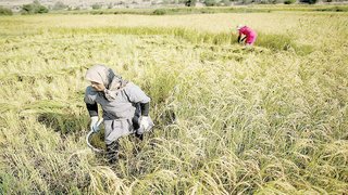 زنان؛ بازنده تورم