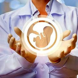 حمایت معاونت علمی از طرح‌های فناورانه برای جوانی جمعیت