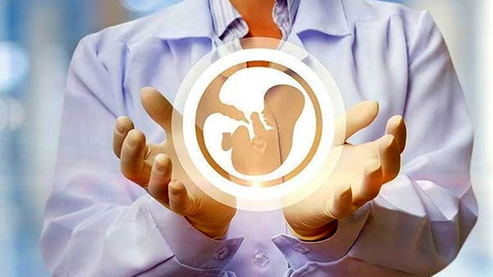 افزایش حمایت مدیریت درمان تأمین‌اجتماعی زنجان از درمان ناباروری بیمه‌شدگان