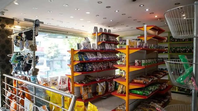 هشدار نظام دامپزشکی؛ غذای تقلبی قاتل پنهان حیوانات خانگی