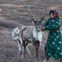خطرات اقلیمی به خطرات اقتصادی تبدیل می‌شوند؛ درس‌هایی از تجربه مغولستان