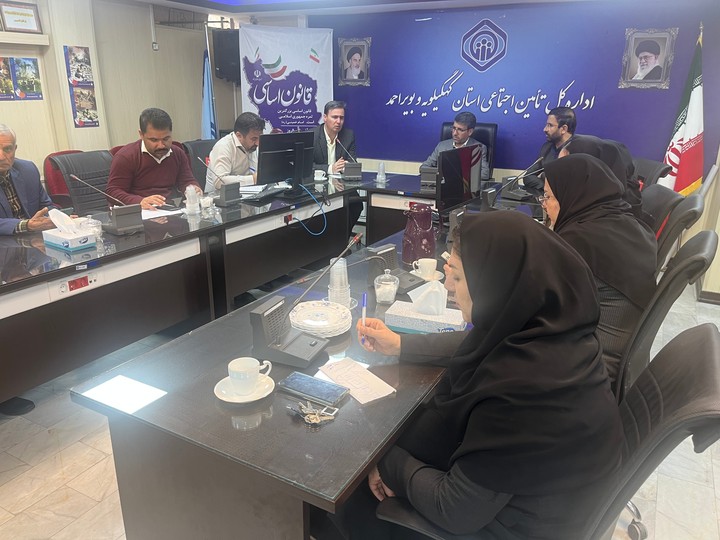 سازمان  تأمین‌اجتماعی  بازوی اجرایی اصل 29 قانون اساسی در حوزه بیمه‌های اجتماعی