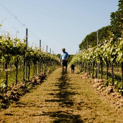 هدررفت بودجه پژوهش؛ معضل بزرگ کشاورزی ایران