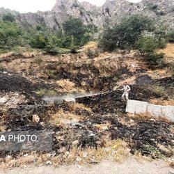دستگیری ۵ عامل آتش‌سوزی در فارس