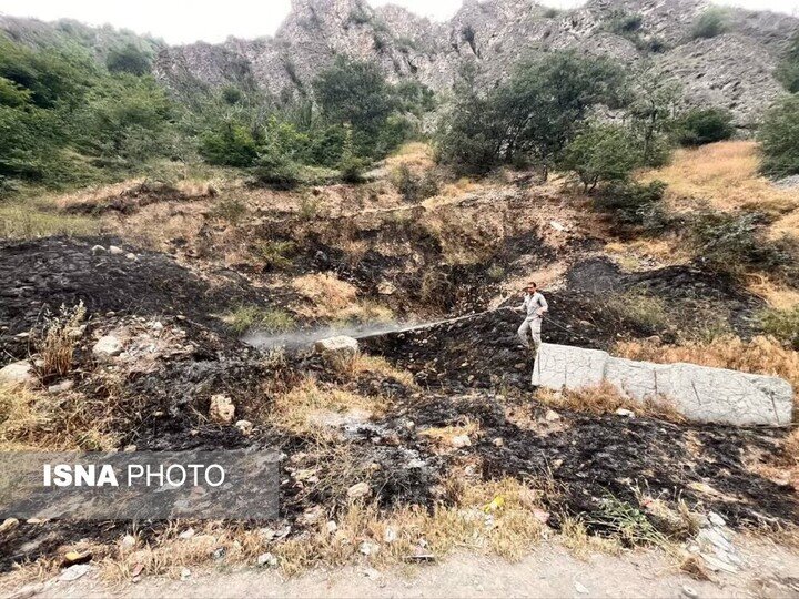 دستگیری ۵ عامل آتش‌سوزی در فارس