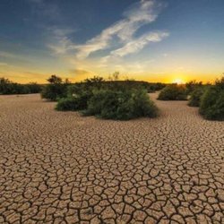 نجات زمین از بیابان؛ ایران چقدر از مسیر احیای سرزمین را طی کرده است؟