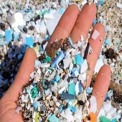 ریزپلاستیک‌ها سیستم ایمنی را هدف می‌گیرند