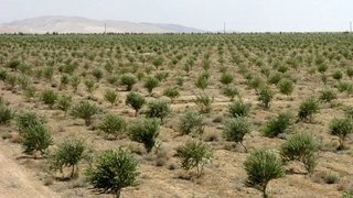 مشارکت مردمی؛ کلید حفاظت پایدار از منابع طبیعی
