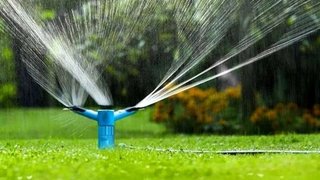آبیاری شبانه برای نجات فضای سبز تهران