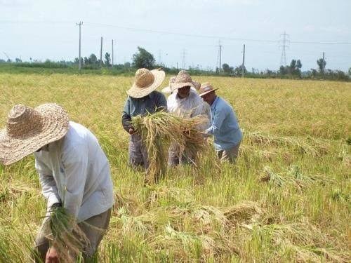 پوشش بیمه‌ای؛ حق روستاییان و عشایر