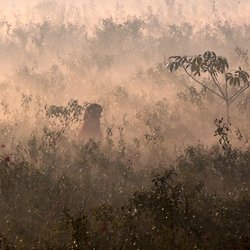 هفت روز گذشته از نگاه عکاسان خبری برجسته جهان
