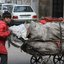 آیا فقر سرنوشت است؟ پاسخ اقتصاددان نوبلیست