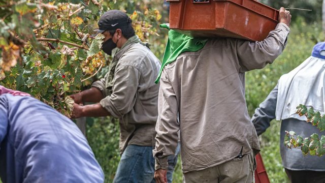سازمان بین‌المللی کار: مونتاژکاران در صدر قربانیان گرمای محیط کار