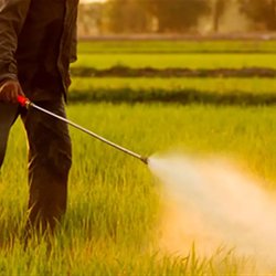 حذف سموم پرخطر از کشاورزی آغاز شد