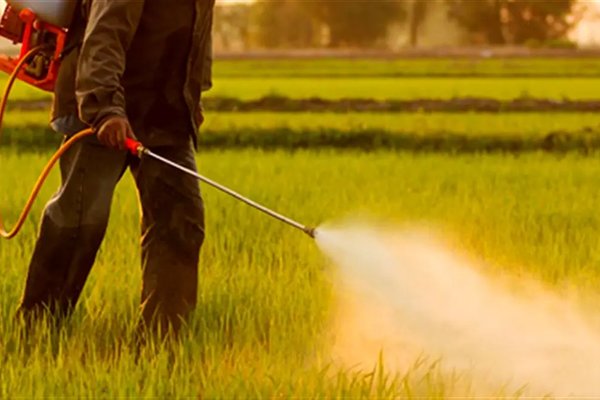 حذف سموم پرخطر از کشاورزی آغاز شد