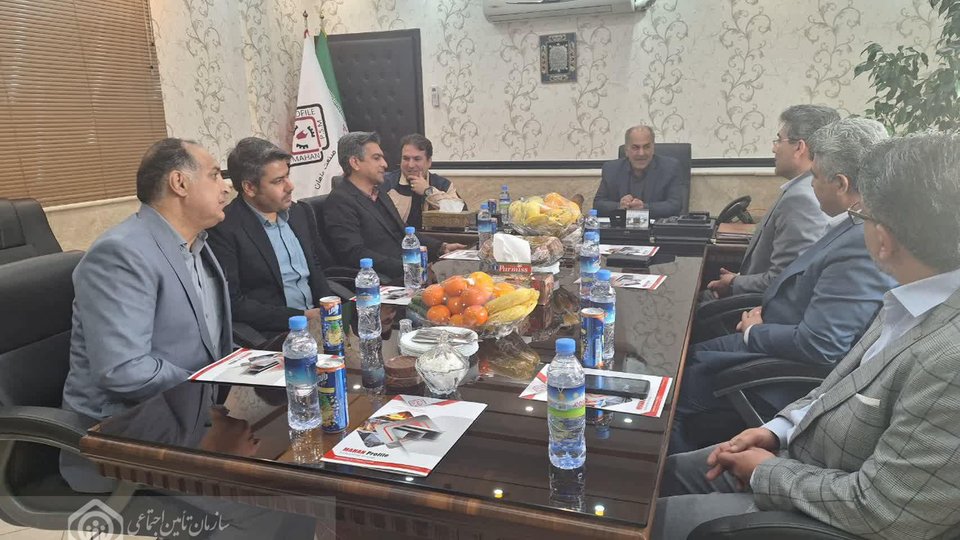 تعامل تأمین‌اجتماعی سمنان با پروفیل صنعت ماهان برای بهبود شرایط کار