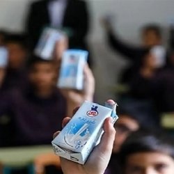 شیر رایگان مدارس ادامه دارد؛ نان مغزدار و خرما هم به سبد تغذیه اضافه می‌شود