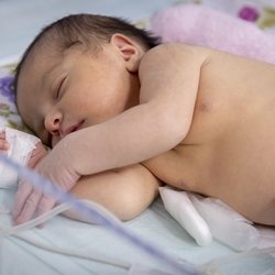 فرصت ۱۰ تا ۱۵ ساله برای جلوگیری از سقوط جمعیتی ایران