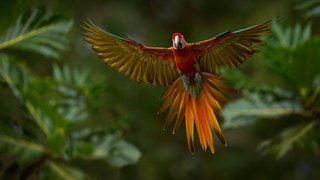 یونسکو در روز جهانی محیط زیست: تغییر اقلیم، میراث جهانی را تا مرز غیرقابل بازگشت پیش می‌برد