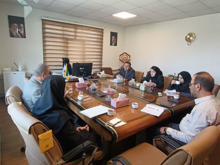 بررسی توسعه تخت‌های VIP در مراکز درمانی تأمین‌اجتماعی زنجان