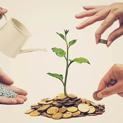 تعاونی‌ها برای جهانی صلح‌آمیز؛ توسعه تعاون در ایران با سه محور اصلی