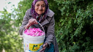 آمار هشداردهنده از سالمندان معلول ایران