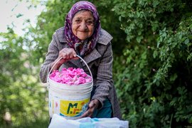 آمار هشداردهنده از سالمندان معلول ایران