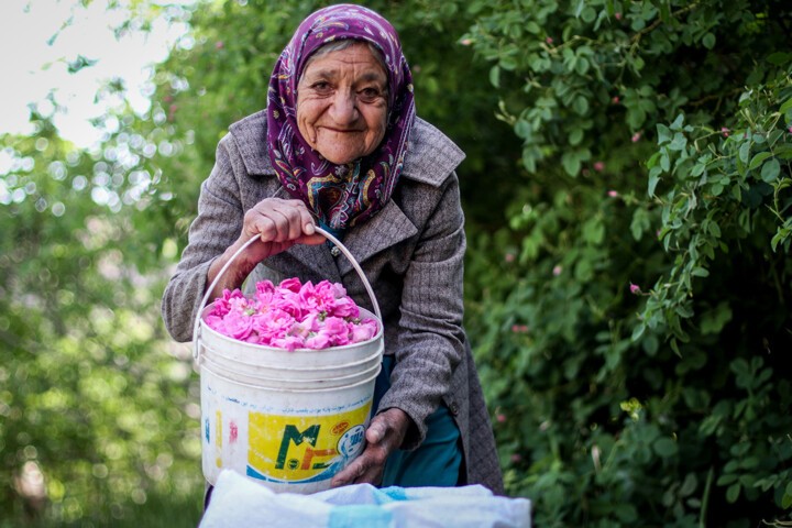 آمار هشداردهنده از سالمندان معلول ایران