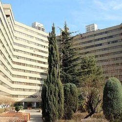 تاب‌آوری در میدان عمل؛ از بحران تا سازمان‌یابی محله‌ای