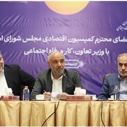 میدری بر گسترش پوشش بیمه‌ای خانوارها تأکید کرد