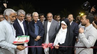 پیوند صنایع خلاق با کسب‌وکارهای خانوادگی، ضامن توسعه پایدار مکران است