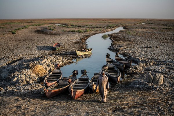 انسان؛ متهم اصلی