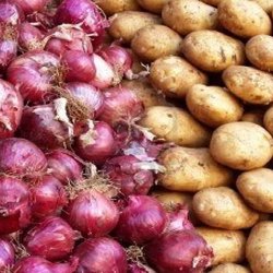 قیمت سیب‌زمینی و پیاز تا پایان فصل برداشت ثابت می‌ماند