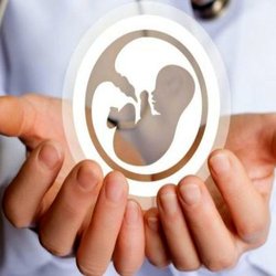 قرارداد بیمه سلامت با ۱۳۱ مرکز درمان ناباروری برای پوشش هزینه های درمانی